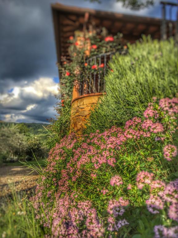 Tuscany Roses Arezzo Ngoại thất bức ảnh